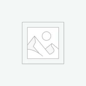 高端集成电路芯片